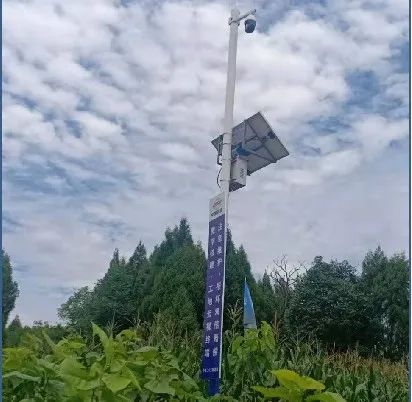 視頻監控平臺